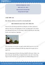 Đề thi học kì 1 Văn 7 Chân trời sáng tạo - Đề số 13